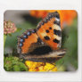 Macro Butterfly Mousepad