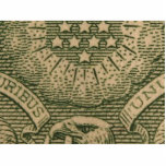 Macro Dollars Bills Money photo sculptures