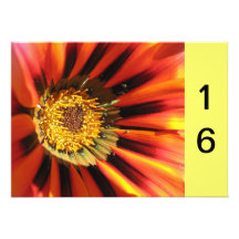 Macro flower Sweet 16 Invitation