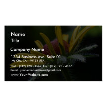 Macro Flowers Petals Business Card Template