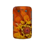 Macro of an orange Zinnia Flower Blackberry Bold Case