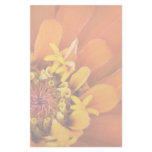 Macro of an orange Zinnia Flower Custom Stationery