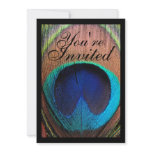 Macro Peacock Feather Rich Blues Invitation