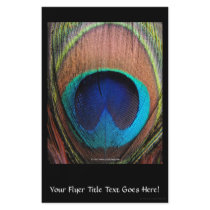 Macro Peacock Feather Rich Blues Photographic