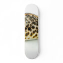Macro Photo Of A Seashell 4 skateboards