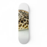 Macro Photo Of A Seashell 4 skateboards