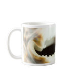 Macro Photo Of A Seashell Coffee Mugs