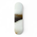 Macro Photo Of A Seashell skateboards