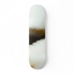 Macro Photo Of A Seashell skateboards
