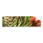 Macro Photo Of Cone On Advent Wreath bumper stickers