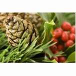 Macro Photo Of Cone On Advent Wreath photo sculptures