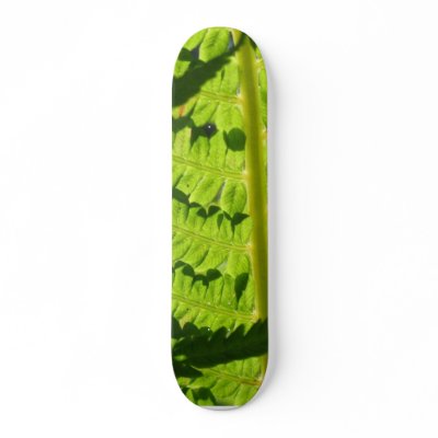 Macro Photo Of Fern 3 Skate Boards by lifesphere