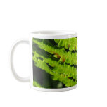 Macro Photo Of Fern 4 Mugs