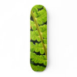 Macro Photo Of Fern 4 Skateboards