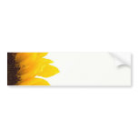Macro Photo Of Sunflower On White Background bumper stickers