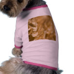 Macro Photo Of Yellow Grain pet clothing