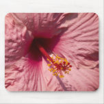 Macro Pink Hibiscus Flower Mousepads