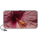 Macro Pink Hibiscus Flower Notebook Speakers