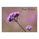 Macro Purple and Pink Flowers Birthday cards