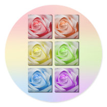 Macro Rainbow Roses