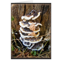 Macro shot greeting card