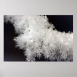 Macro Snowflake Poster posters