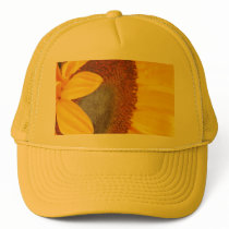 Macro Sunflower Hat