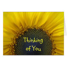 Macro Sunflower Thinking of you Card