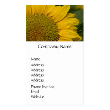 Macro Sunflower With Raindrops Business Cards