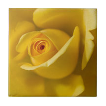 Macro Yellow Rose Ceramic Tile