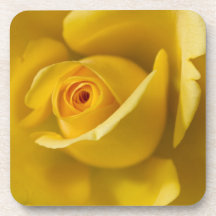 Macro Yellow Rose Coaster
