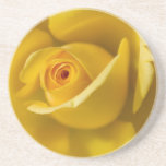Macro Yellow Rose Drink Coaster
