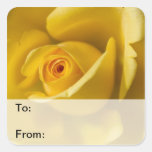 Macro Yellow Rose Gift Tags Stickers