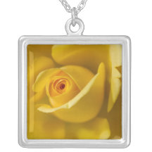 Macro Yellow Rose Pendant