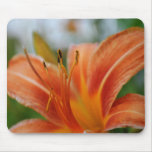 Macros Day Lily Mousepad