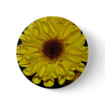 Macros Sunflower Mum Button