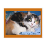 Macy girl oil painting, Missing You!!! postcard