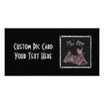Mad Alice Snapshot 1 photo cards