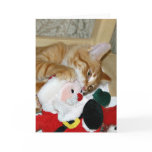 Mad at Santa cards