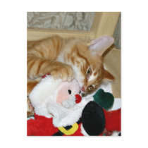 Mad at Santa Postcard