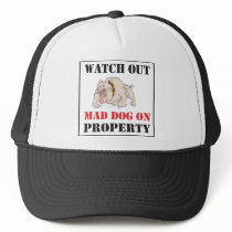 Mad Dog On Property