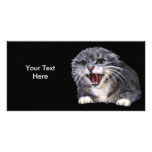 Mad Grey Cat Photo Card photo cards