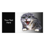 Mad Grey Cat Photo Card photo cards