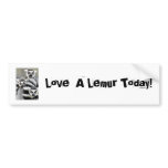 MadagascanRingtailLemurs, Love  A Lemur Today! bumper stickers
