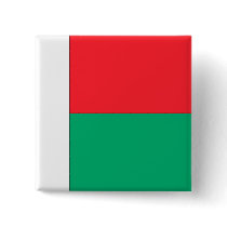 Madagascar Flag Pin