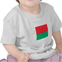 Madagascar Flag T Shirt