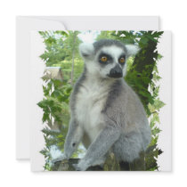 Madagascar Lemur Invitation