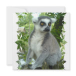 Madagascar Lemur Invitation