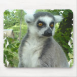 Madagascar Lemur Mouse Pad mousepads