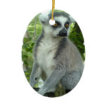Madagascar Lemur Ornament